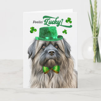 Tarjeta Festiva Pastor pirenaico con suerte Día de San Patricio
