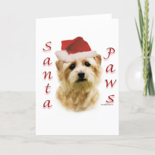 Tarjeta Festiva Patas de Norfolk Terrier Santa