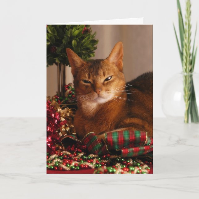 Tarjeta Festiva Patas para los días de fiesta (Anverso)