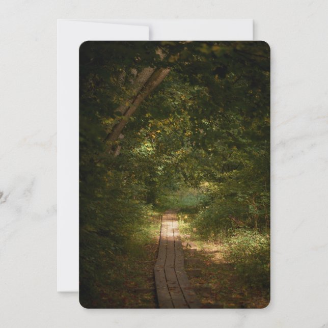 Tarjeta Festiva Path through forest (Anverso)