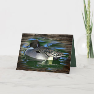 Tarjeta Festiva Pato Mallard En El Lago