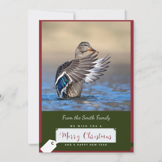 Tarjeta Festiva Pato Mallard en una carta de Navidades (Anverso)