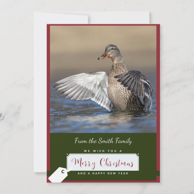 Tarjeta Festiva Pato Mallard en una carta de Navidades (Anverso)