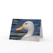 Pato mallorquín blanco