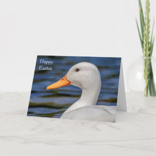 Tarjeta Festiva Pato mallorquín blanco