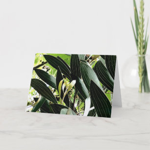 Tarjeta Festiva patrón de hoja