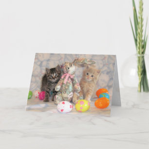Tarjeta Festiva Patton & Buffington's Easter Bunny - Cat / Kitten
