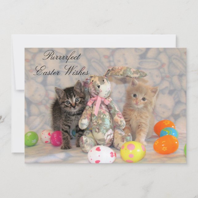 Tarjeta Festiva Patton y Buffington Easter Cat (Anverso)