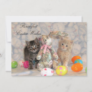 Tarjeta Festiva Patton y Buffington Easter Cat