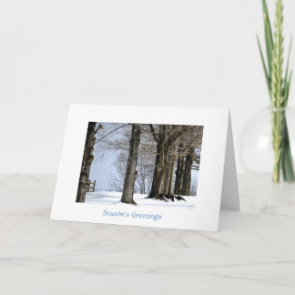 Tarjeta Festiva Pavos salvajes que forrajean en la nieve
