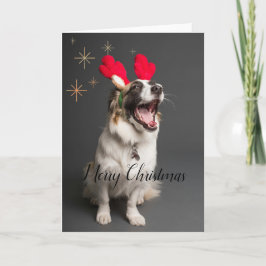 Tarjeta Festiva Paws & Joy: Adorable Dog "Merry Christmas" Card