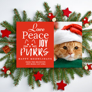 Tarjeta Festiva Paz Amor Alegría Ronroneos Amante de los Gatos Fot