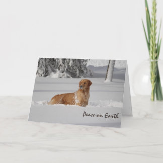 Tarjeta Festiva Paz de la nieve en la tierra