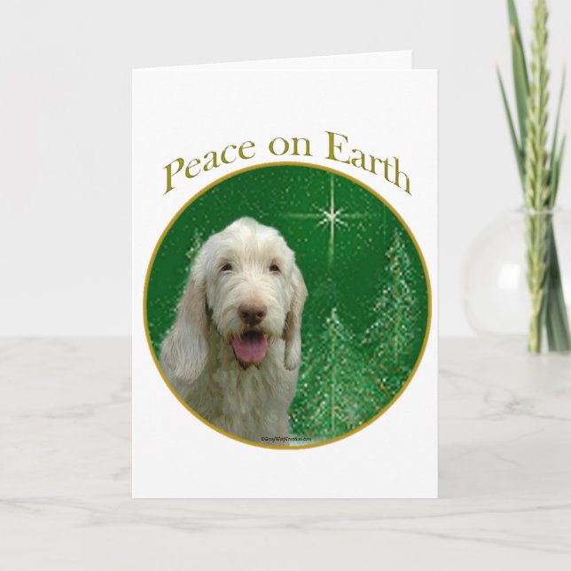 Tarjeta Festiva Paz de Spinone Italiano (Anverso)