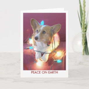Tarjeta Festiva Paz en la Tierra