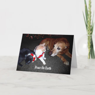 Tarjeta Festiva Paz en la tierra