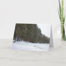 Tarjeta Festiva Paz en la tierra