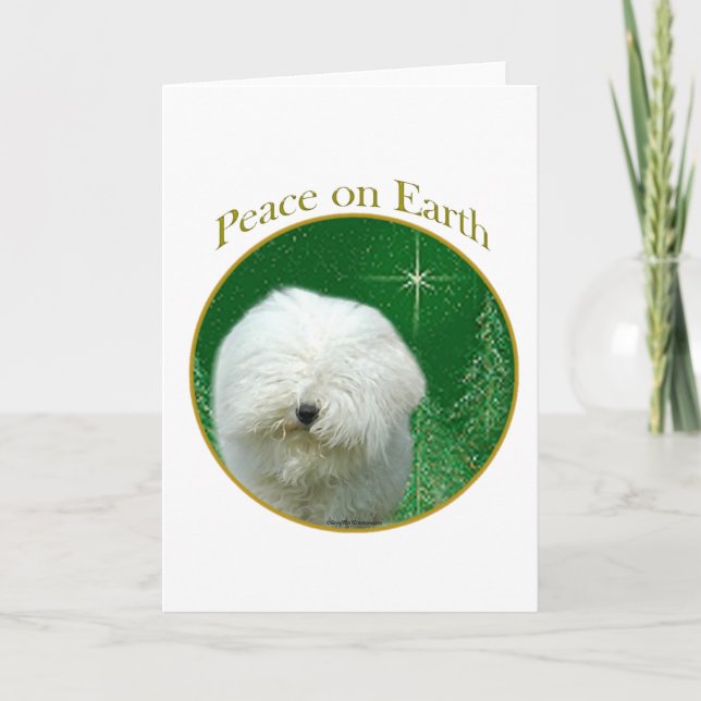 Tarjeta Festiva Paz Puli (Anverso)