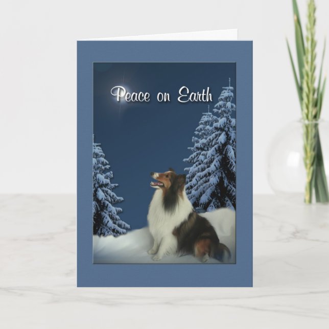 Tarjeta Festiva Paz Sheltie (Anverso)