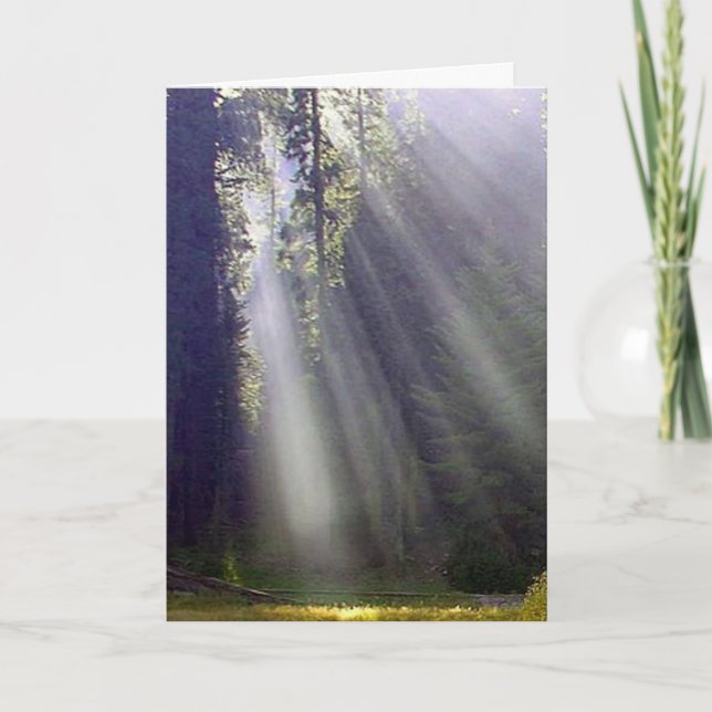 Tarjeta Festiva Paz y alegría (Anverso)