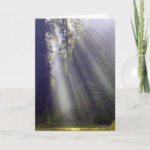 Tarjeta Festiva Paz y alegría