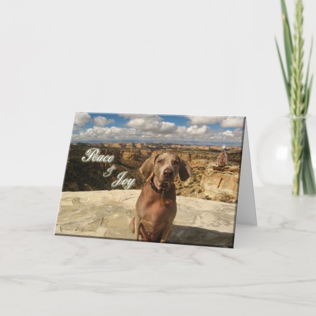 Tarjeta Festiva Paz y alegría de la búsqueda (Anverso)