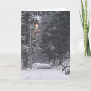 Tarjeta Festiva Pebbles Beach Winter Scene 1