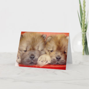 Tarjeta Festiva Peeping Chows