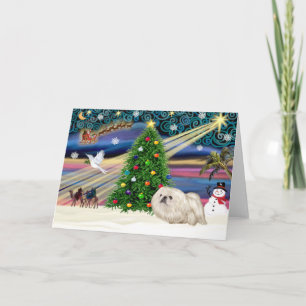 Tarjeta Festiva Pekinés Christmas Magic (blanco)