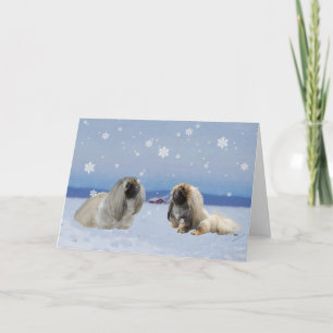Tarjeta Festiva Pekingés en Invierno