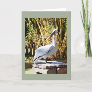 Tarjeta Festiva Pelícano