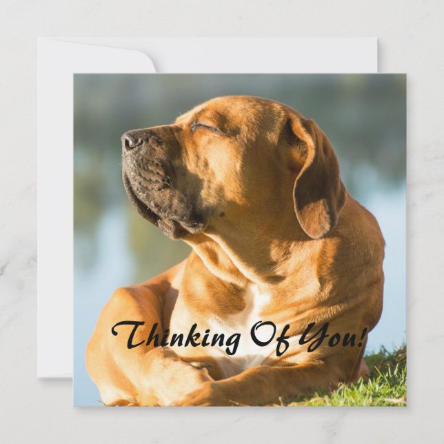 Tarjeta Festiva Pensando en ti (Anverso)