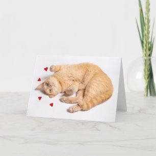 Tarjeta Festiva Pensando en ti romance Naranja lindo tabby gato