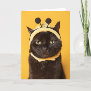Tarjeta Festiva Pensando en un gato gracioso en el humor Gorra de 