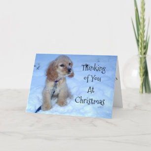 TARJETA FESTIVA PENSANDO EN USTEDES EN EL PUP DE NAVIDADES-SNOWBOU