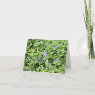 Tarjeta Festiva Pequeñas Flores y Hojas Purpúreas