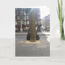 Pequeño auto. Coche eléctrico.