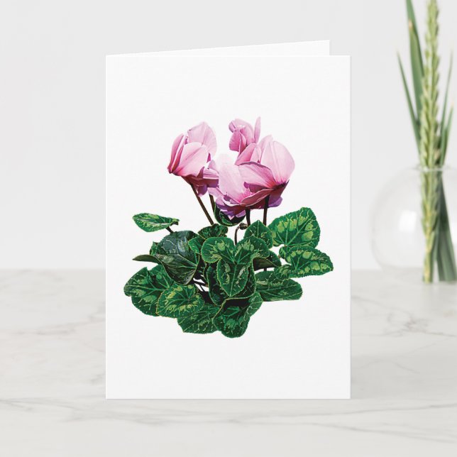 Tarjeta Festiva Pequeño Cyclamen rosado (Anverso)