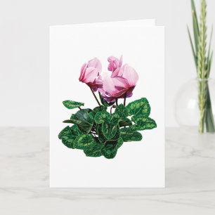 Tarjeta Festiva Pequeño Cyclamen rosado