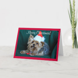 Tarjeta Festiva Pequeño yorkie en Santa Hat
