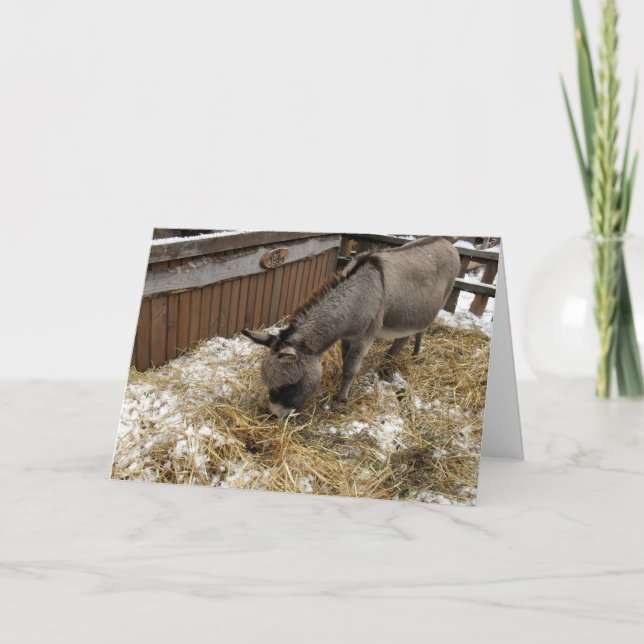 Tarjeta Festiva Pequeños Navidades de burro (Anverso)