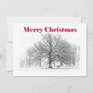 Tarjeta Festiva Pequeños Navidades de la escena invernal con barni
