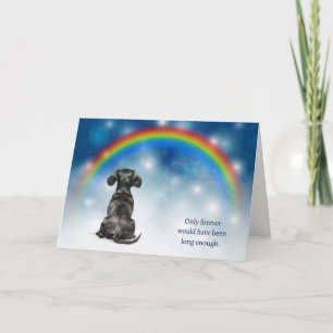 Tarjeta Festiva Pérdida de Dachshund Negro Luces Nocturnas de Cond