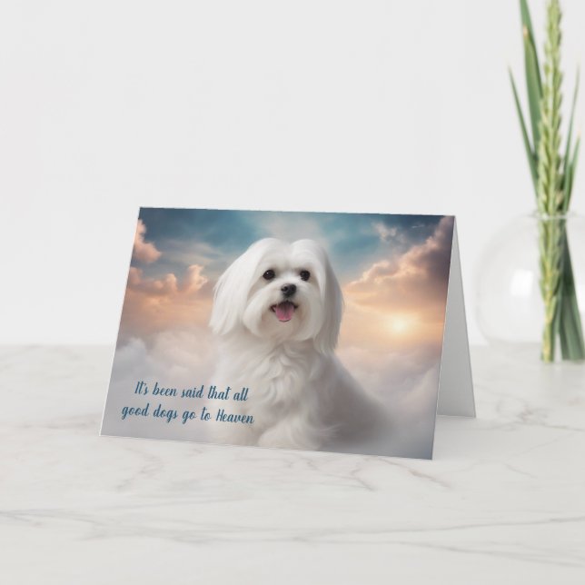 Tarjeta Festiva Pérdida de la simpatía del cielo por los perros ma (Anverso)