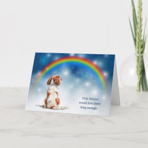 Tarjeta Festiva Pérdida de luces nocturnas de Cavalier King Charle