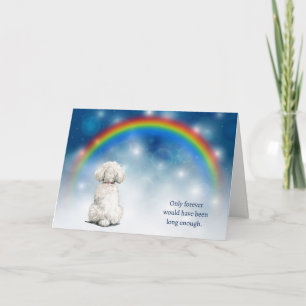 Tarjeta Festiva Pérdida de luces nocturnas de perro Bichon Frise d