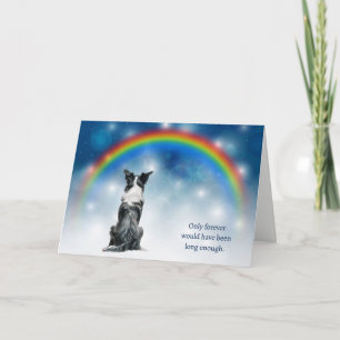 Tarjeta Festiva Pérdida de Luces Nocturnas de Perro Border Collie