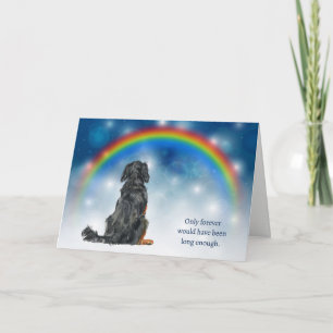 Tarjeta Festiva Pérdida de luces nocturnas de perro Setter de Gord