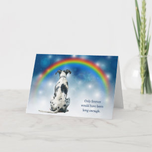 Tarjeta Festiva Pérdida de luces nocturnas de simpatía de perro Gr