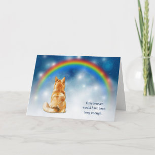 Tarjeta Festiva Pérdida de luces nocturnas de simpatía para perro